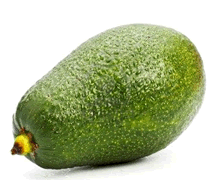 Avocado - Agroword